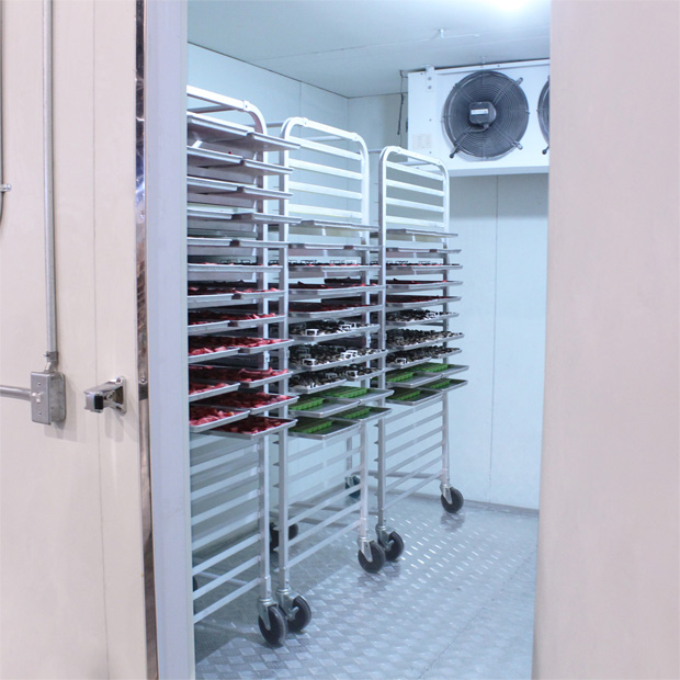 Row of racks and trays in freezer