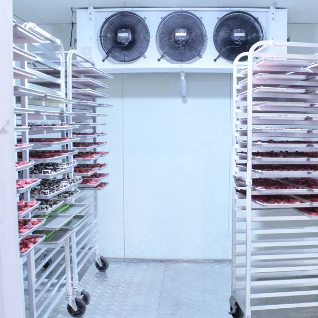 Full width showing of loaded trays in freezer